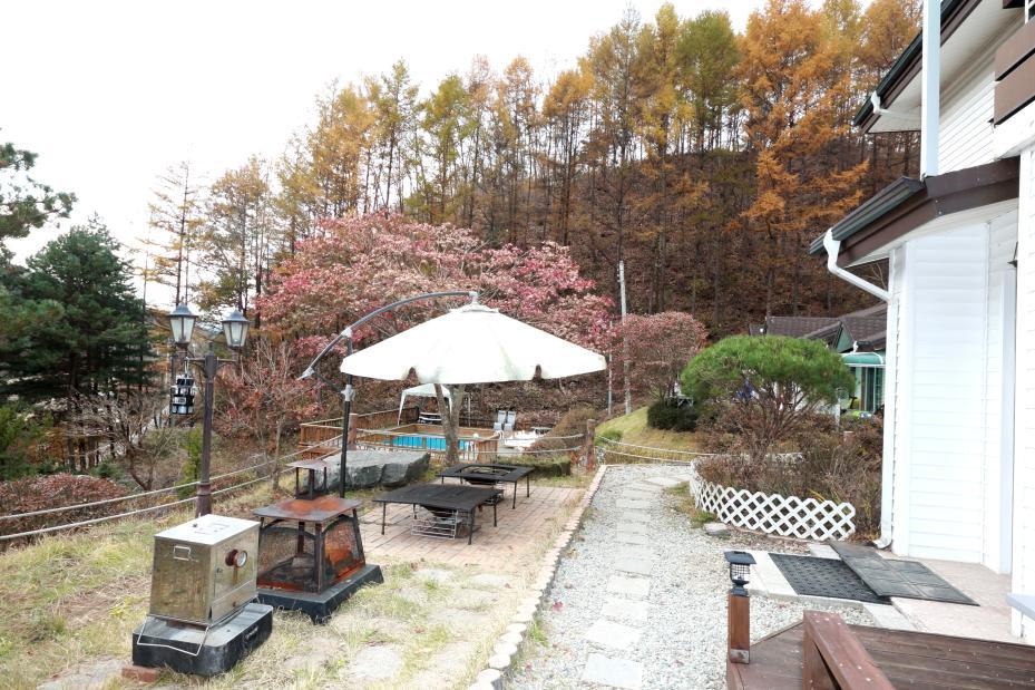 Pinearoma Pension ホンチョン エクステリア 写真
